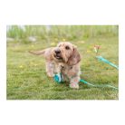 Trixie Kikötő Csiga 40cm/9 Mm