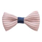 Trixie Masni kutyának 4-5,5cm, többféle színben,méretben