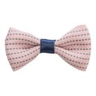 Trixie Masni kutyának 4-5,5cm, többféle színben,méretben