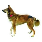 Trixie Tüzelőbugyi Xs 20–25cm fekete