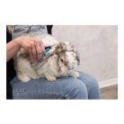 Trixie Olló Fejre És Tappancsra 9cm