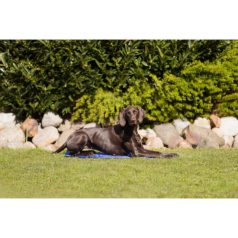 Trixie Hűtő Matrac 90*50cm Kék