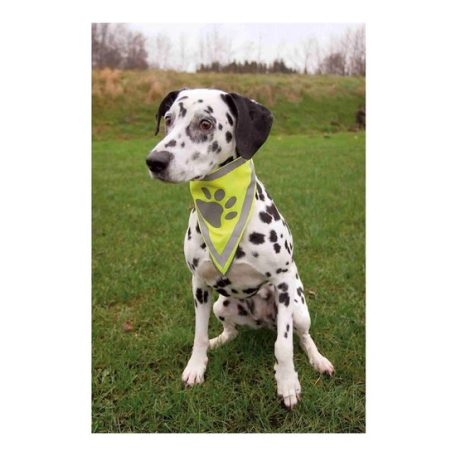 Trixie Biztonsági Kendő Kutyának Xs–s 22–28cm