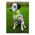 Trixie Biztonsági Kendő Kutyának L–xl 43–60cm