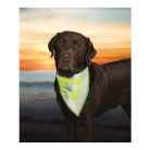 Trixie Biztonsági Kendő Kutyának L–xl 43–60cm