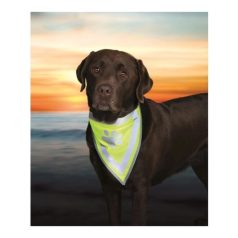 Trixie Biztonsági Kendő Kutyának L–xl 43–60cm