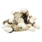 Trixie Jutalomfalat Premio Halas Csont 100g