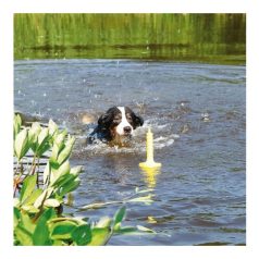 Trixie Játék Dog Activity vizes játék 29cm