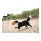 Trixie Játék Dog Disc Hőre Lágyuló