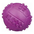 Trixie Játék Gumi Labda Tüskés Sipoló 6cm