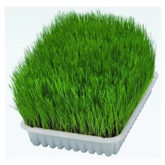 Trixie Macskafű Kölyök Macskának 100g