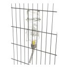 Trixie Itató Üveg 250ml Honey És Hopper