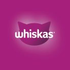 Whiskas Junior macskaeledel csirkével 14kg